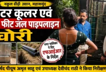 नकुल ढीढ़ी उद्यान में चोरी की घटना
