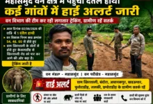 महासमुंद वन क्षेत्र में पहुंचा दंतैल हाथी