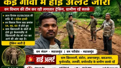 महासमुंद वन क्षेत्र में पहुंचा दंतैल हाथी
